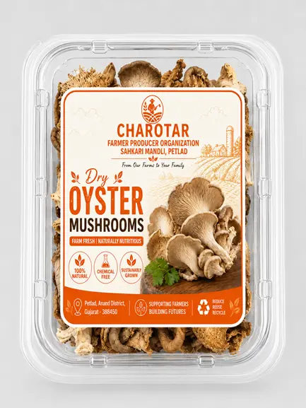 Dry Oyster Mushrooms