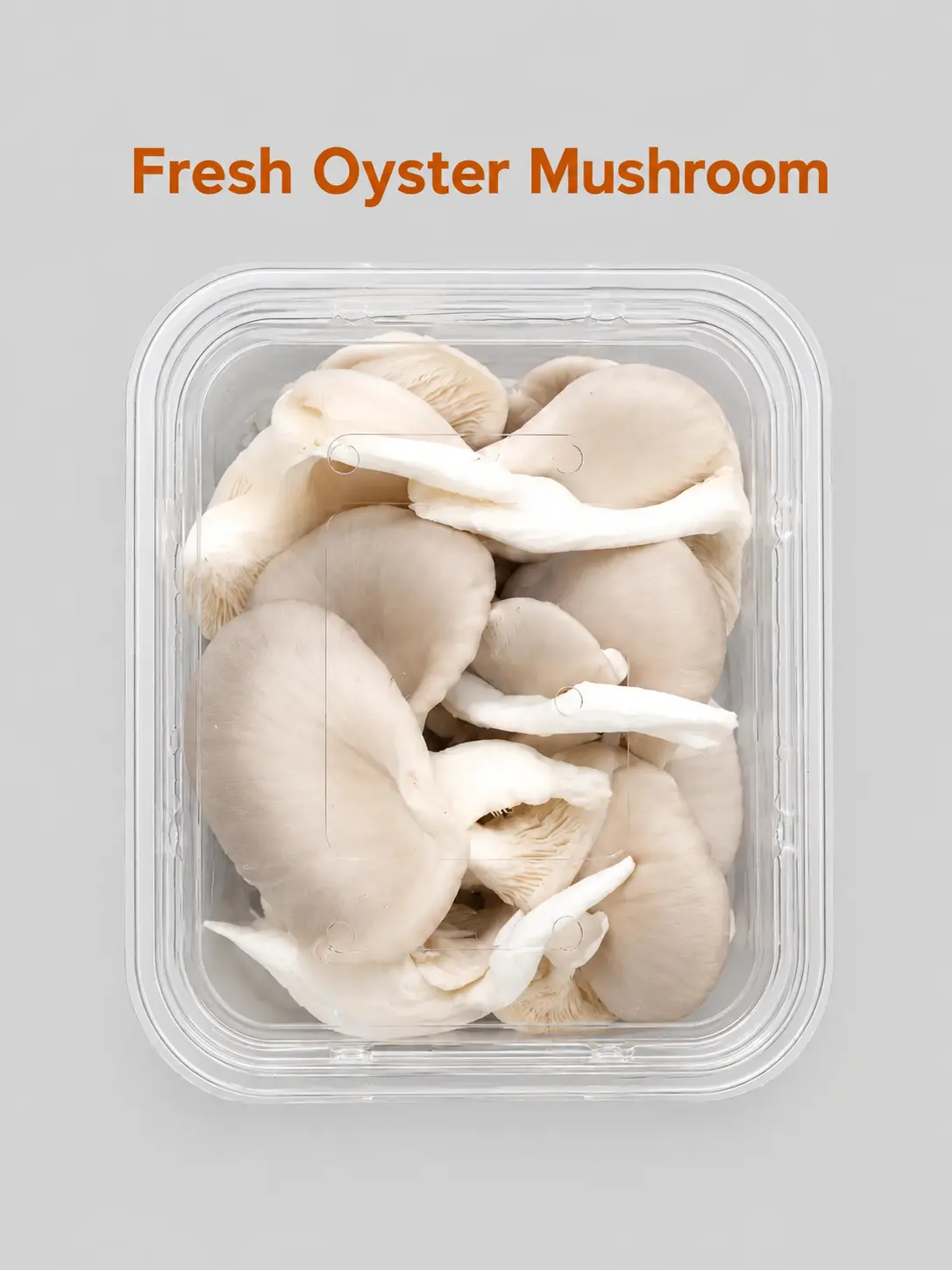 Mushroom